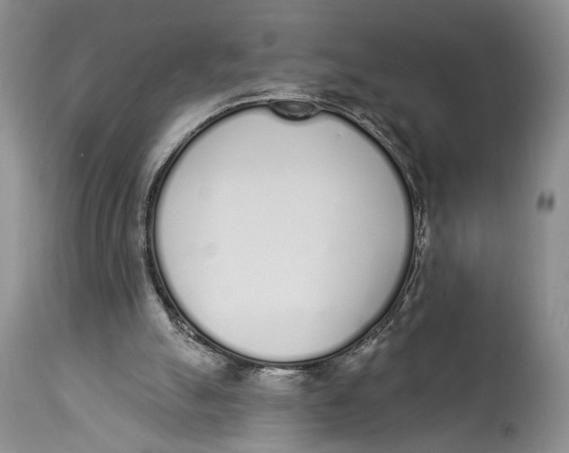X0000114000055200910231801