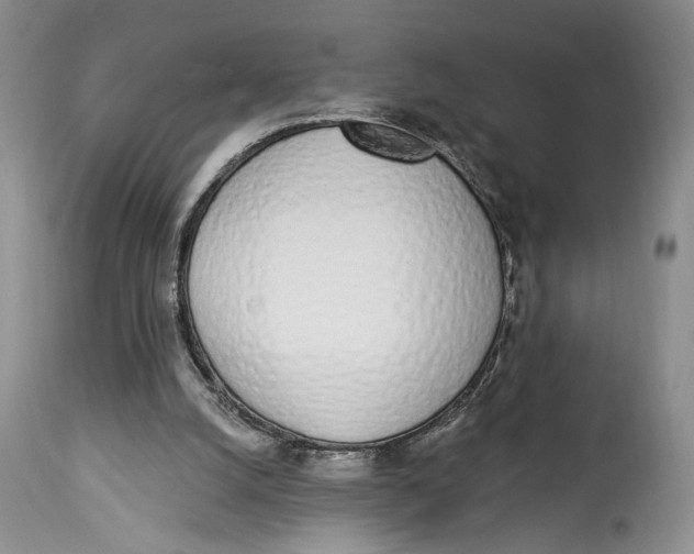 X0000114000056200910231801