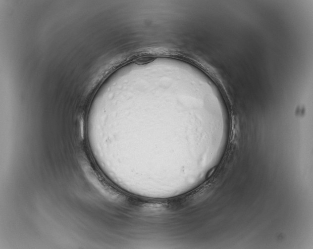 X0000114000061200910231801