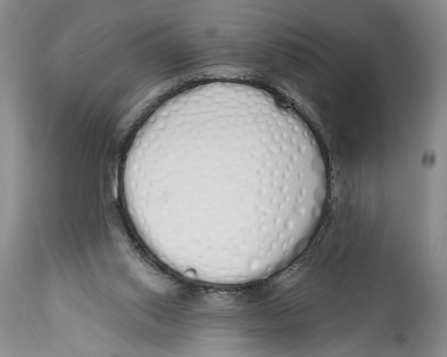 X0000114000062200910231801