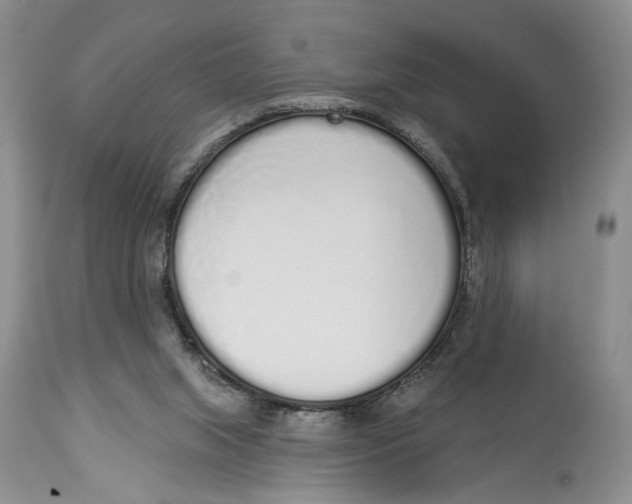 X0000114000063200910231801