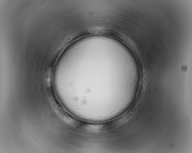 X0000114000065200910231801