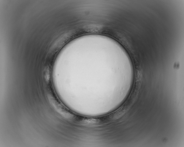 X0000114000069200910231801