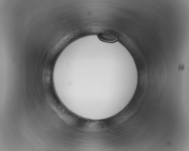 X0000114000072200910231802