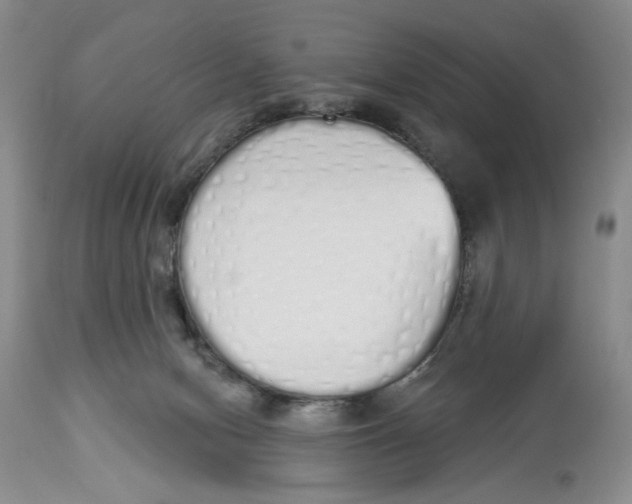 X0000114000078200910231802