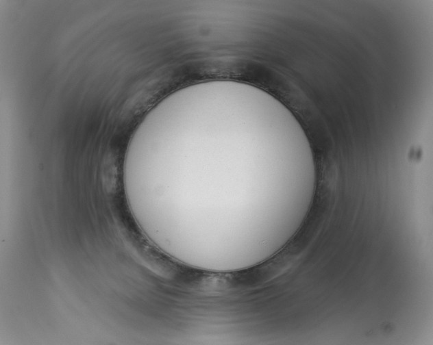 X0000114000080200910231802