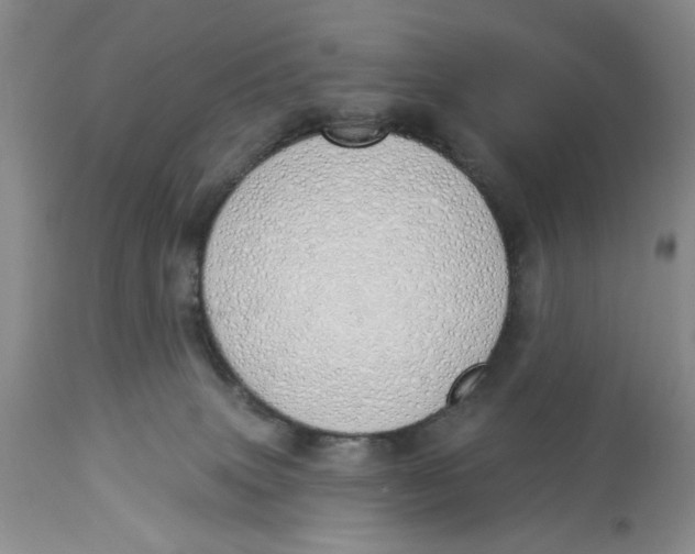 X0000114000083200910231802
