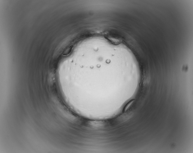 X0000114000085200910231802