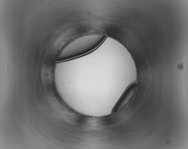 X0000114000088200910231802