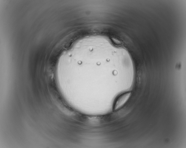 X0000114000091200910231802