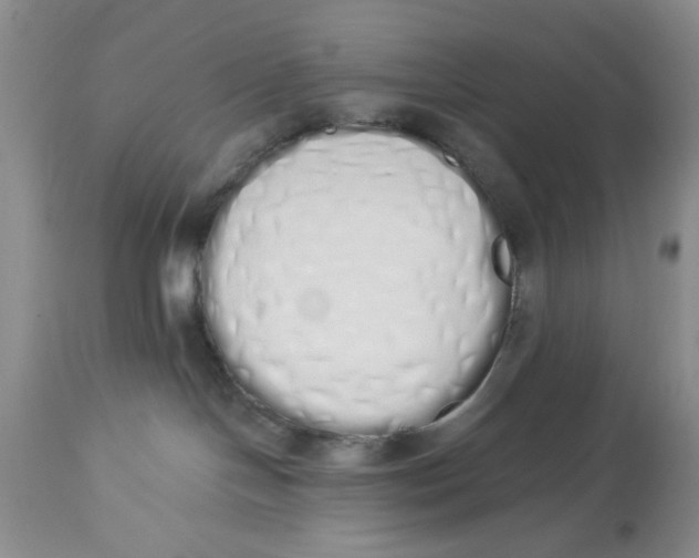 X0000114000094200910231802
