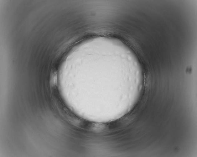 X0000114000095200910231802