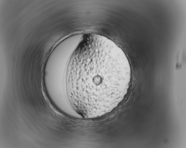 X0000114000097200910231801