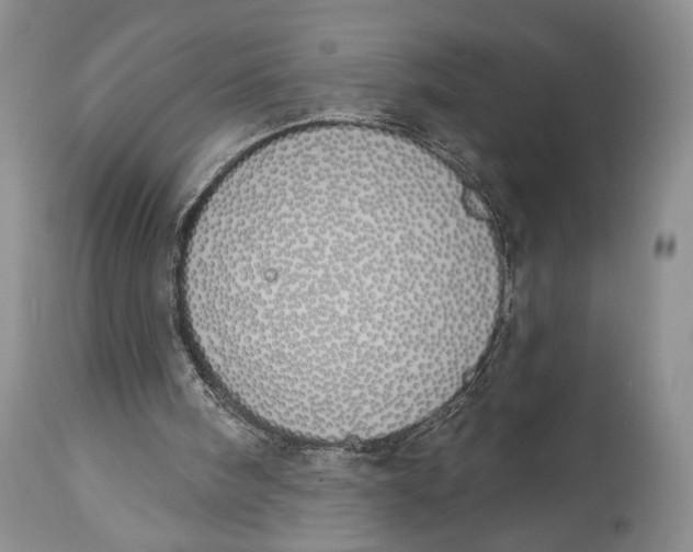 X0000114000098200910231801