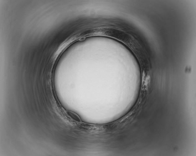 X0000114000099200910231801