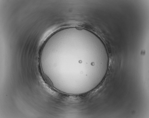 X0000114000101200910231801