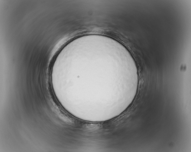 X0000114000102200910231801