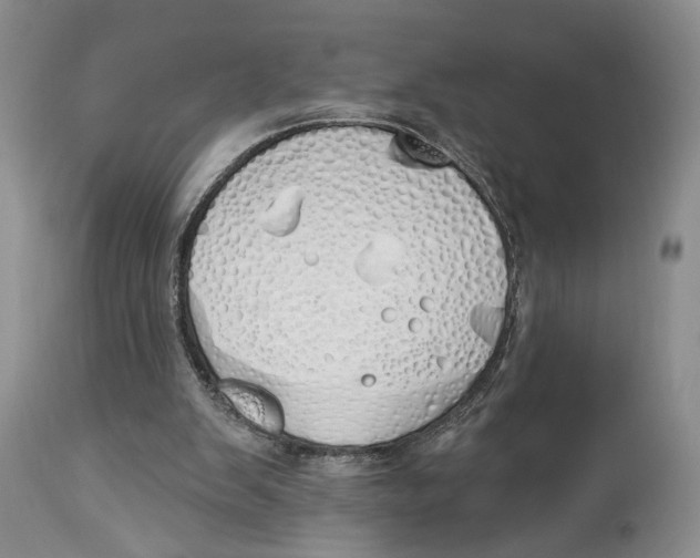 X0000114000103200910231801
