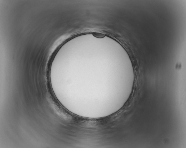 X0000114000104200910231801