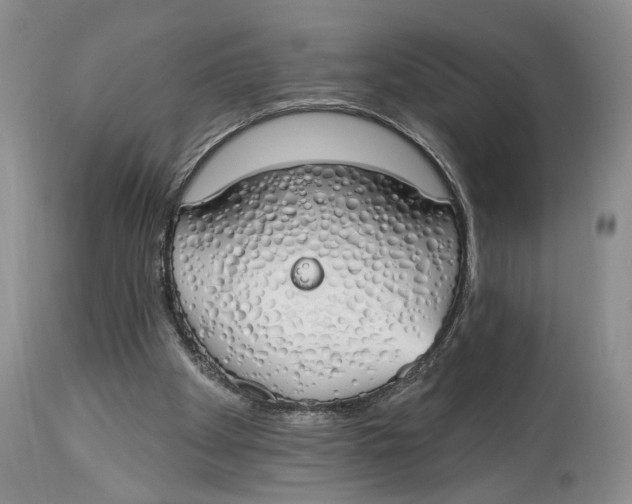 X0000114000105200910231801
