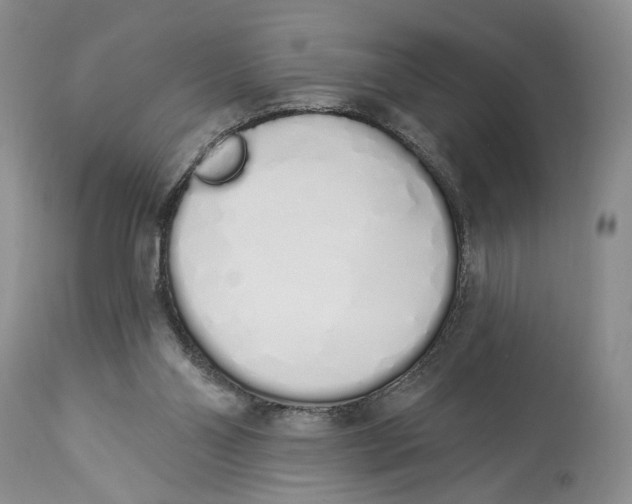 X0000114000110200910231801