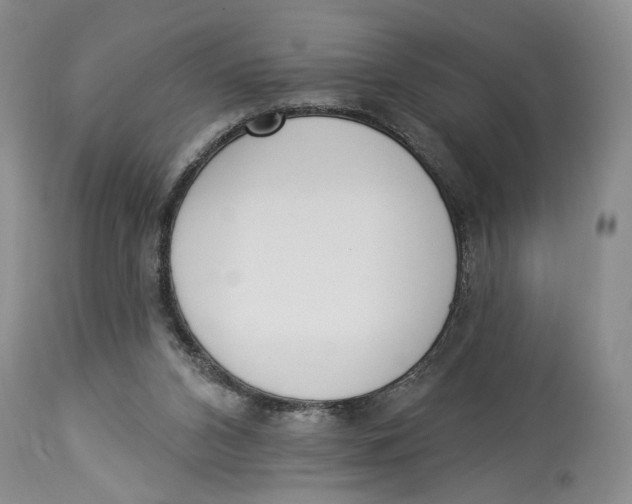 X0000114000112200910231801