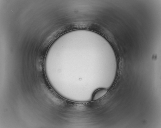 X0000114000114200910231801