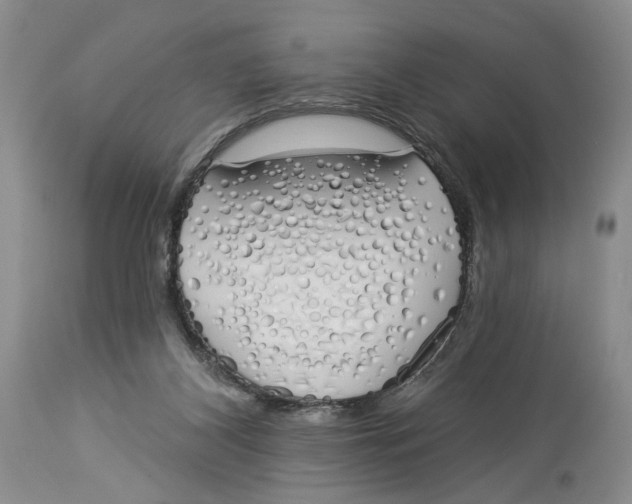 X0000114000116200910231801