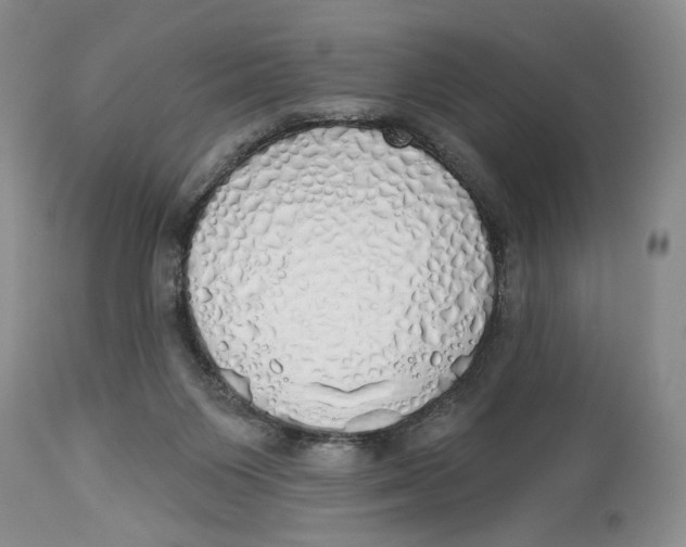 X0000114000119200910231801