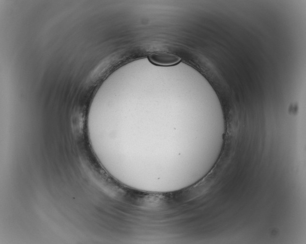 X0000114000124200910231801