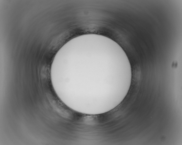 X0000114000126200910231801