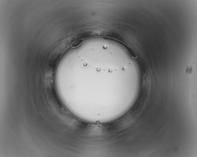X0000114000127200910231801