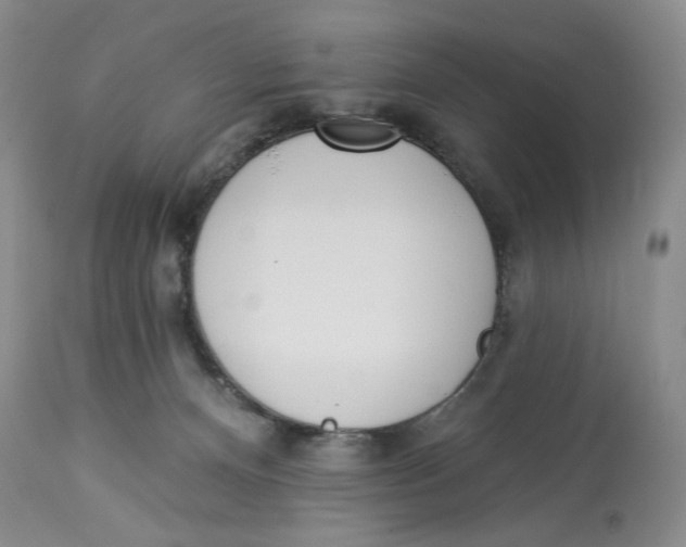 X0000114000128200910231801