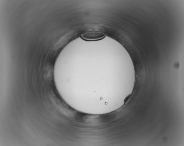 X0000114000132200910231801