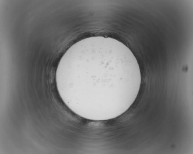 X0000114000133200910231801