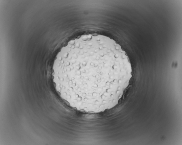 X0000114000135200910231801