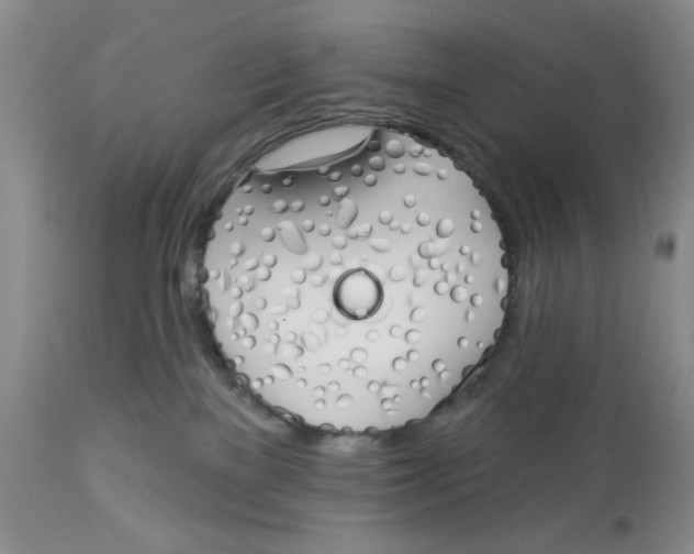 X0000114000137200910231801