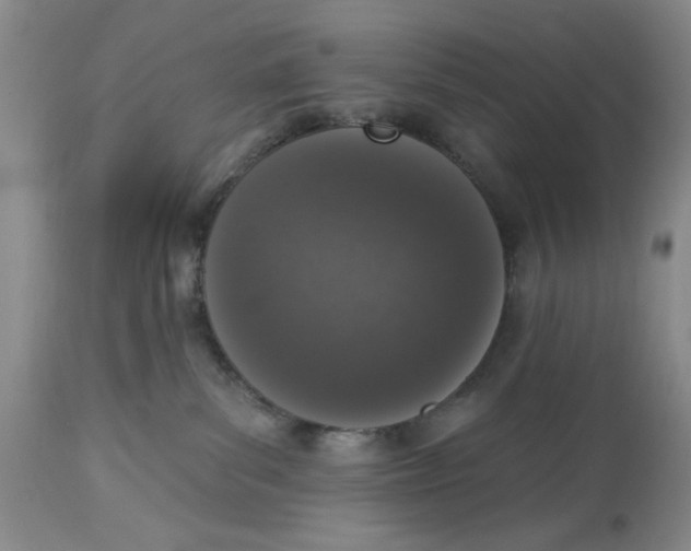 X0000114000139200910231800