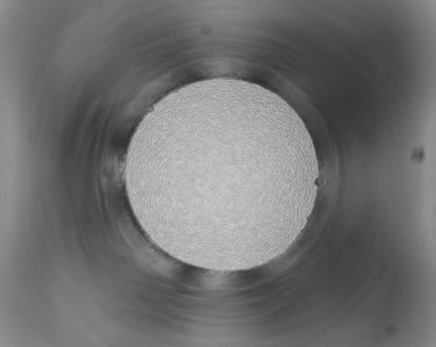X0000114000142200910231800