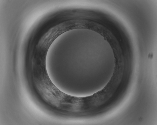 X0000114000143200910231800