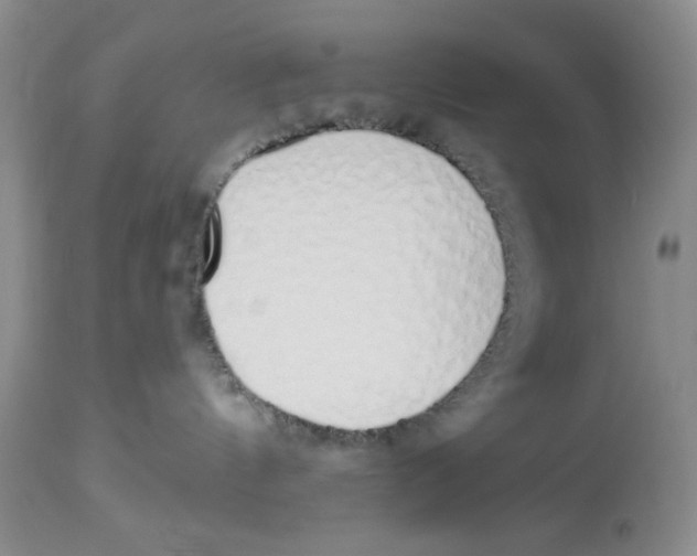 X0000114000144200910231800