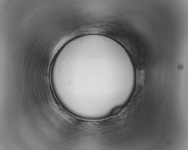 X0000114000147200910231800