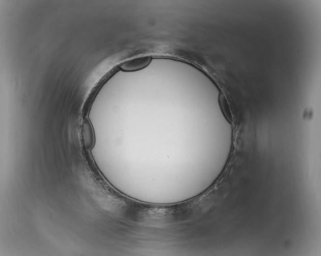 X0000114000152200910231800