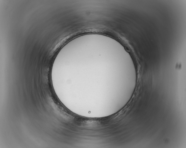 X0000114000154200910231800