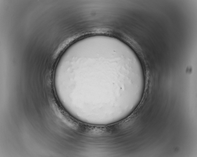 X0000114000155200910231800