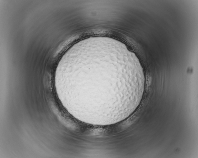X0000114000158200910231800