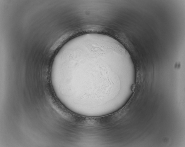 X0000114000159200910231800