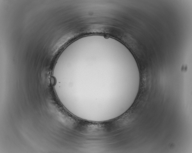 X0000114000160200910231800