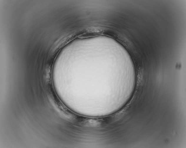 X0000114000166200910231800