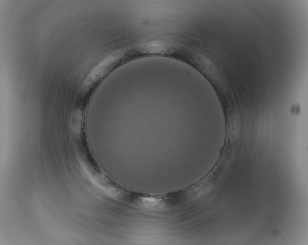 X0000114000167200910231800